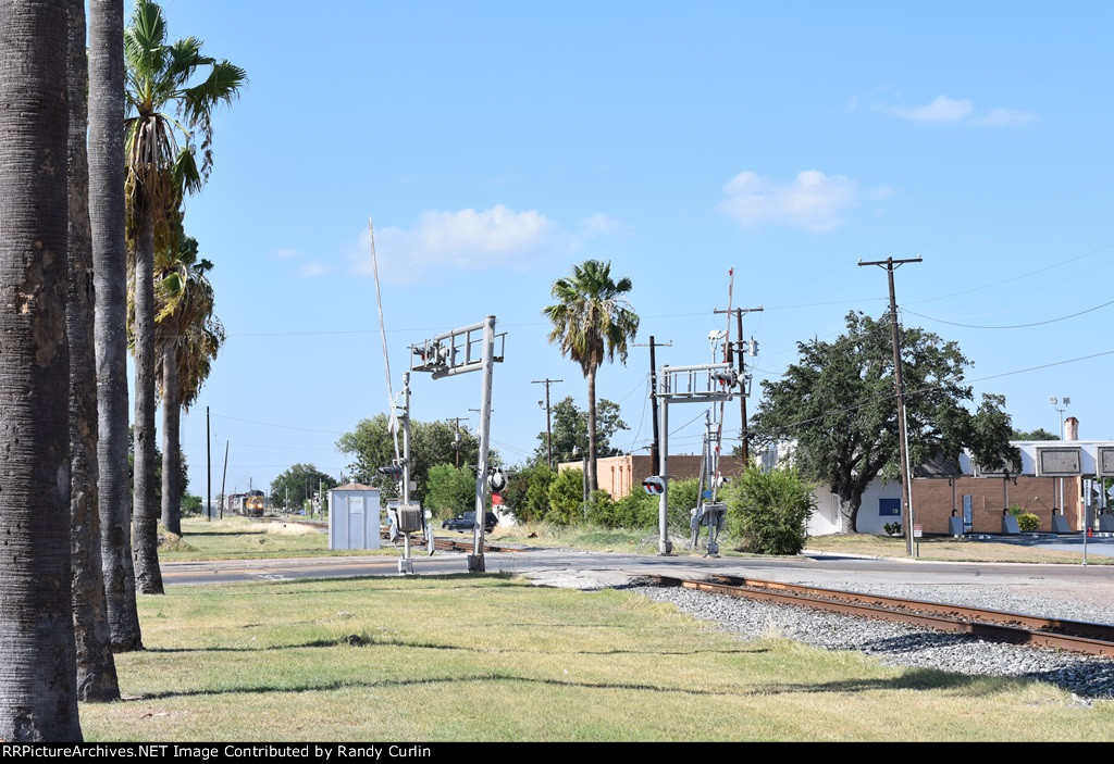Raymondville Tx